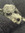 kristin...