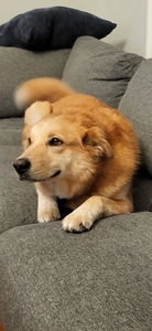 Bec