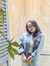 Yến Trang