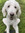 member photo member photo
