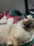 C C