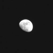 m. a