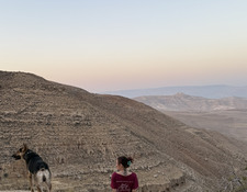 ציפורה אמונה
