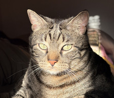 Victor