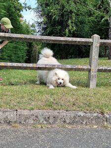 Morgane Baltensperger