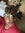 Chitquita McCarthur