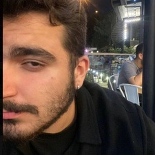 MohammadHossein Hashemi