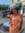 Jeni Hardison