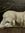 roadkillmotif