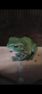 °˳˚•*⁠.☆✿Penny✿☆⁠.⁠*⁠•⁠˚⁠˳⁠°