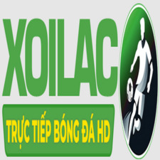 most fit com lừa đảo