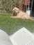 Eleanor