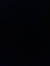 Bente L...