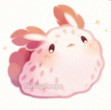 ObiBun