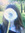 Libby Haigh