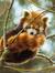 Jude (NovelReader13)