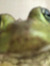 goblin_...