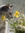 Riley | 2 comments