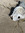 Voluntary Extinction