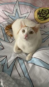 María