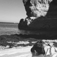 catarina
