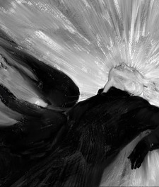 ⋆˙⟡vici*ੈ✩ ࣪˖ ִֶ་༘࿐