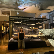 natalieᖭི༏ᖫྀ