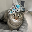 ✿ riya