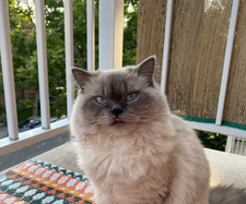 Katherine