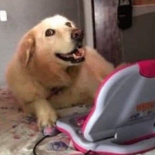 lelê ☾⚢