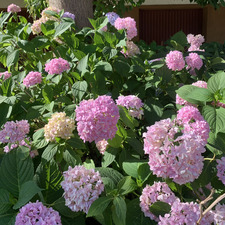 анастасија ੈ✩‧₊˚