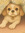 member photo member photo