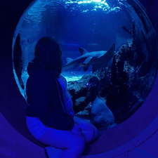 Bridgette Schierenbeck