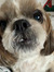 caitlin_
