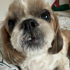 caitlin_