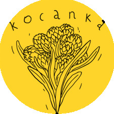 Kocanka