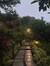 Stvr_night