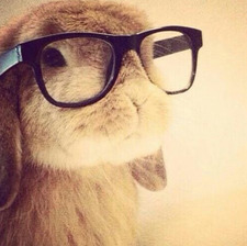 Madison ( ˶ˆᗜˆ˵ )