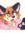 CrazyFuchs