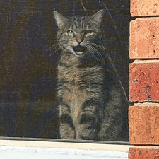 mackenzie  humphreys 