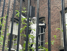 Saoirse Ní Bhaoighealláin
