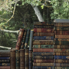 MyBookStacks