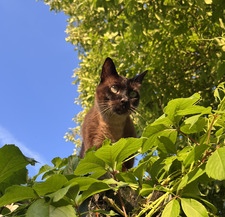 ⋆˙⟡malwina ✧˖.