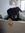Gabs