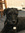 Jay Wolfe | 1 comments