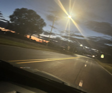 Chesnie🎀🧟♀️