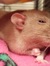 Leonie