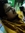Amit Ghosh