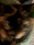 Inara S...