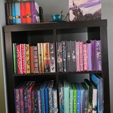 Shel0ves2read